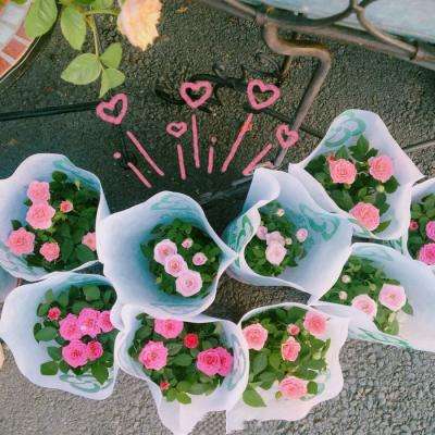 ag旗舰厅客户端下载截图